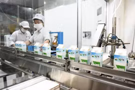 Vừa niêm yết HoSE, lợi nhuận Mộc Châu Milk (MCM) giảm 54%, phải vay thêm 95 tỷ để hoạt động 9 tháng đầu năm