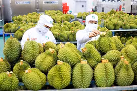Xuất khẩu rau quả ‘vào đà’ tăng trưởng mạnh sau kỷ lục của 2023