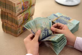 Chính phủ ban hành Kế hoạch triển khai thực hiện cải cách chính sách tiền lương