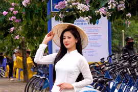 Hà Nội ngập tràn sắc tím bằng lăng thu hút người dân thích thú “check in”