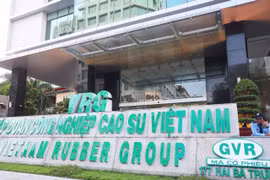 Tập đoàn Công nghiệp Cao su Việt Nam (GVR) chậm kế hoạch 9 tháng, vẫn dự chi 1.200 tỷ cổ tức tiền mặt