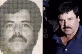 Luật sư cho biết trùm ma túy Mexico bị con trai El Chapo 'bắt cóc'