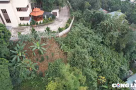 Công ty khoáng sản Tuyên Quang 'lên tiếng' vụ người dân 'tố' doanh nghiệp chiếm đường dân sinh