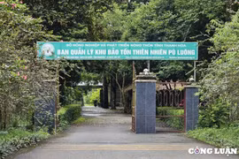 Đầu tư gần 20 tỷ đồng xây dựng bổ sung công sở Khu bảo tồn thiên nhiên Pù Luông