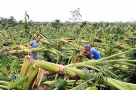 Thủ tướng: Miễn, giảm thuế và lãi vay cho người dân, doanh nghiệp bị bão lũ