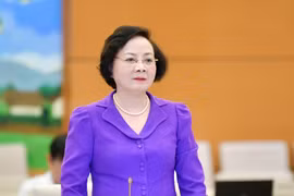 Sắp xếp, thành lập các đơn vị hành chính cấp huyện, cấp xã của 13 tỉnh, thành phố