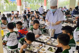 TP HCM sẽ kiểm tra đột xuất các bếp ăn trường học