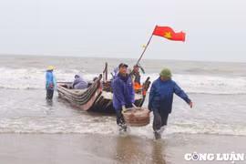 Thanh Hóa: Ngư dân phấn khởi khi sứa biển vào mùa, được giá