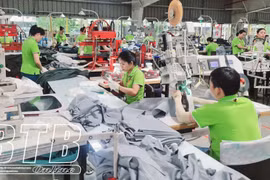 Thái Bình: 6 tháng đầu năm 2024, GRDP tăng 7,96% so với cùng kỳ