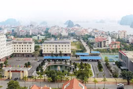 Tổng công ty Đông Bắc: Nơi hội tụ của trí tuệ và sức mạnh tổng hợp