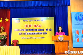 GDP quý II/2024 tăng 6,93%, nhưng vẫn có hàng chục nghìn doanh nghiệp phá sản mỗi tháng