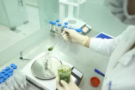 Hòa Bình: Cảnh báo thủ đoạn giả mạo các đoàn thanh tra, kiểm tra an toàn thực phẩm