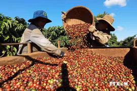 Xây dựng thương hiệu “Made in Vietnam” thông qua thương mại điện tử quốc tế: Cơ hội cho doanh nghiệp Việt tăng trưởng