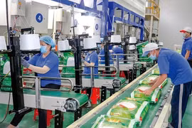 Trung An (TAR) từ lãi hóa lỗ 7,5 tỷ đồng sau kiểm toán, cổ phiếu lao dốc cùng loạt tin xấu 'bủa vây'