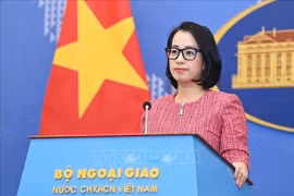 Việt Nam hoan nghênh Nghị quyết về việc ngừng bắn tại Dải Gaza