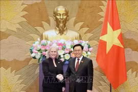 Việt Nam - Hoa Kỳ thúc đẩy quan hệ Đối tác chiến lược toàn diện theo hướng ngày càng thực chất, đi vào chiều sâu, ổn định