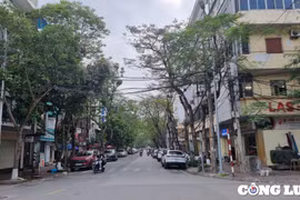 TP Hải Phòng cấm đỗ xe ô tô trên các tuyến đường trung tâm thành phố từ ngày 1/4/2025