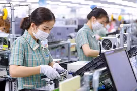 Tại Việt Nam, từ Trung ương tới địa phương đang “xây tổ đón đại bàng”