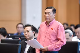 Tăng cường quản lý, xử lý vi phạm trong đấu giá quyền sử dụng đất là cần thiết