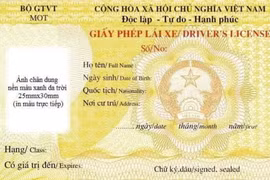 Mẫu giấy phép lái xe mới nhất được áp dụng từ năm 2025