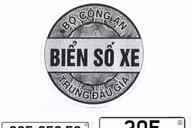 Từ 1/1/2025, biển số xe trúng đấu giá sẽ được dán tem nhận diện