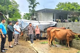 Phú Thọ: Hành động thiết thực vì sự phát triển của vùng đồng bào dân tộc thiểu số
