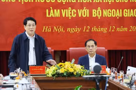 Chủ tịch nước Lương Cường làm việc với Bộ Ngoại giao