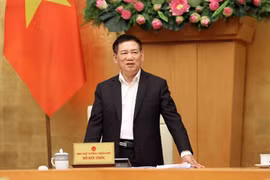 Khẩn trương ưu tiên nguồn lực triển khai kế hoạch hành động đã cam kết với Lực lượng đặc nhiệm tài chính