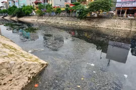 Hà Nội lập xong đề án xử lý ô nhiễm sông Tô Lịch, Kim Ngưu