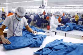 Phải quy định rõ trách nhiệm của các cơ quan, đơn vị để xảy ra nợ đọng bảo hiểm xã hội