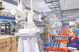 IMF: Trí tuệ nhân tạo sẽ tác động đến 60% việc làm ở các nền kinh tế phát triển
