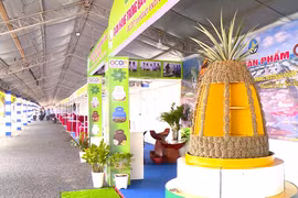 Bac A Bank tham gia festival quốc tế ngành hàng lúa gạo Việt Nam - Hậu Giang 2023
