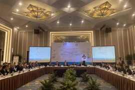 Điều gì giúp Việt Nam vững bước trở thành một trong những nền kinh tế phát triển nhanh nhất thế giới?
