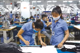 Dệt may Thành Công (TCM) lợi nhuận năm 2023 chạm đáy 7 năm trở lại