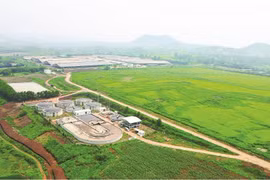 Net Zero: Bước đệm cho kỷ nguyên vươn mình