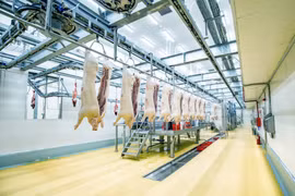 Mảng thịt có thương hiệu của Masan báo lợi nhuận sau thuế dương trong quý III/2024