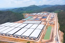 Nông Nghiệp BaF Việt Nam (BAF) lãi 9 tháng cao gấp 4 lần, quy mô đàn heo tăng 73%