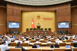 Đầu tư có trọng tâm, trọng điểm, chất lượng, hiệu quả cho phát triển văn hóa