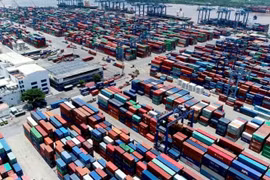Tân Cảng Sài Gòn điều tra nghi vấn 'rút ruột' hàng xuất khẩu tại cảng Cát Lái