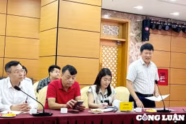 Hạ Long (Quảng Ninh): Sẽ trở thành thành phố hoa và lễ hội