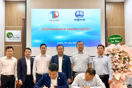 Bamboo Capital (BCG) thắng lớn trong đợt phát hành tăng vốn