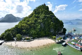 Quảng Ninh xác minh vụ tàu du lịch bỏ rơi khách trên vịnh Hạ Long
