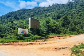 Kon Tum sẽ khai thác hơn 700 m3 gỗ để mở đường sang Gia Lai