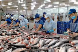Chủ tịch Nam Việt (ANV) muốn thoái sạch vốn cá nhân: Cổ phiếu tăng 36%, lợi nhuận gấp 18 lần nhưng lãnh đạo vẫn tranh thủ ‘chốt lời’?