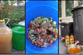 Chuyện kỳ lạ về những người 'ki bo, tiếc nuối' rác thải