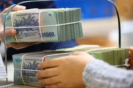 VNĐ sẽ mạnh dần lên trong nửa cuối năm 2024