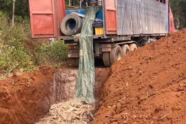 Gia Lai: Khởi tố, bắt tạm giam 4 đối tượng trong vụ vận chuyển hơn 5 tấn cá tầm qua biên giới