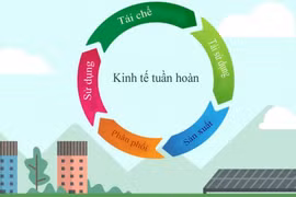 Kinh tế tuần hoàn tại Việt Nam có thêm sự hỗ trợ mới