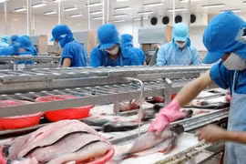 Vỡ kế hoạch năm 2023, Vĩnh Hoàn (VHC) vẫn đặt mục tiêu trả cổ tức năm 2024 tỷ lệ 20%
