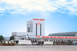 Lợi nhuận sụt giảm 71%, Tập đoàn Sao Mai (ASM) vẫn dự tính chia cổ tức 10%
